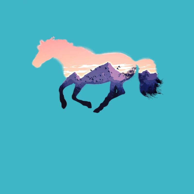 Wildpferd Wildpferde reiten Reiter Geschenk Gestüt
