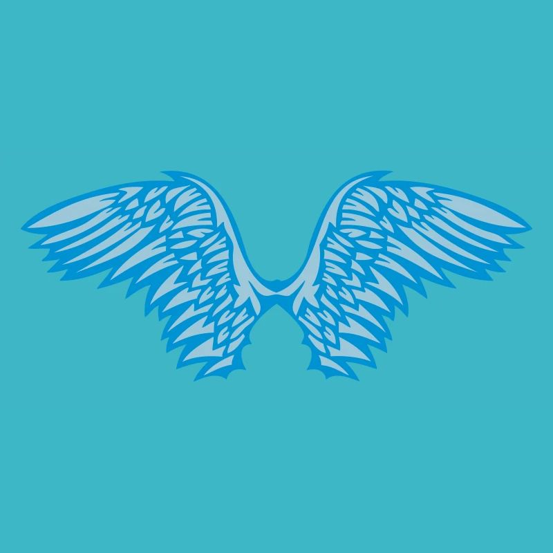 aile ange 201 aille