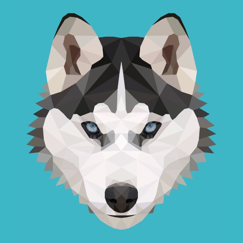 Husky Polygon Hund Eis Schnee Tierliebe Geschenk