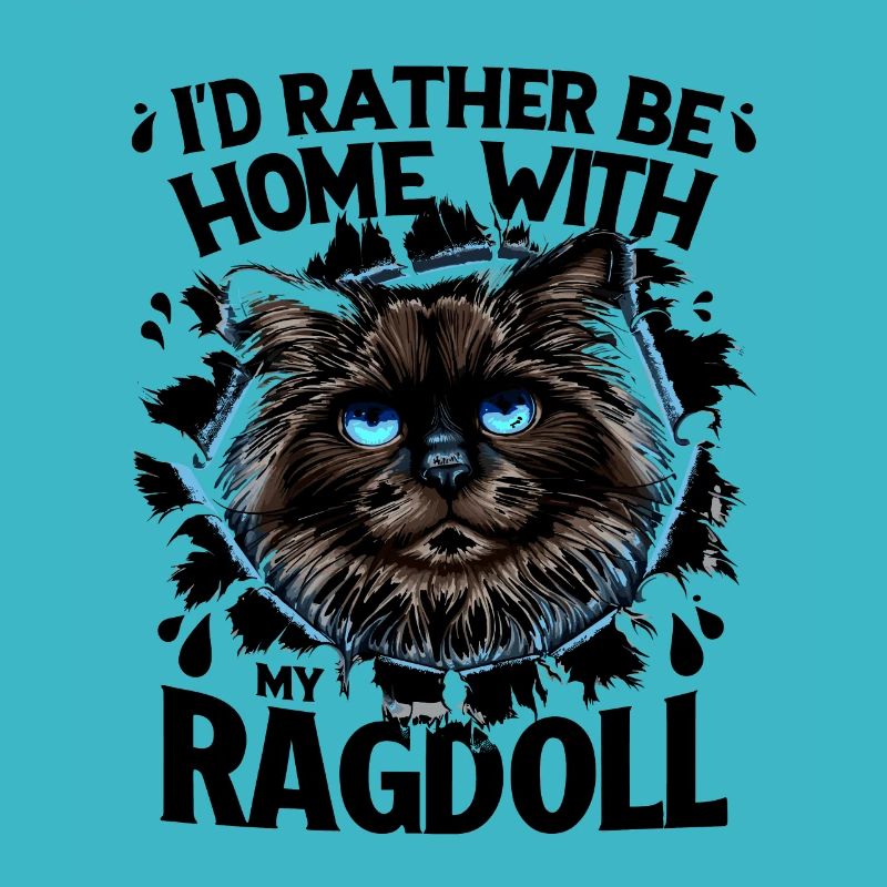 Je préfère être à la maison avec mon propriétaire Ragdoll Ragdolls