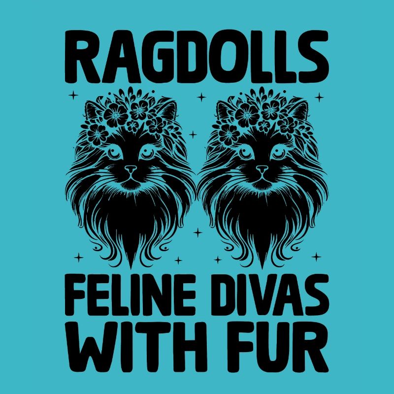 Ragdolls Divas félins avec fourrure Ragdolls Cat Lover