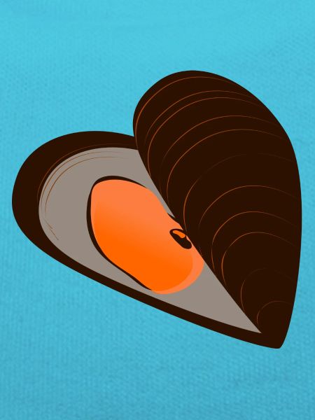 mussel56