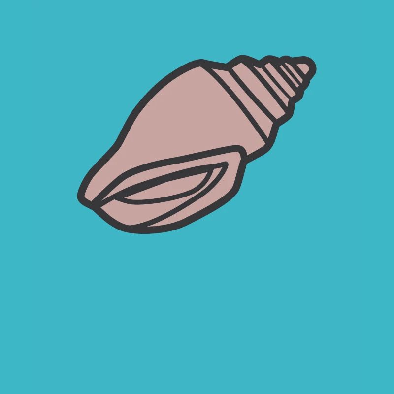 shell