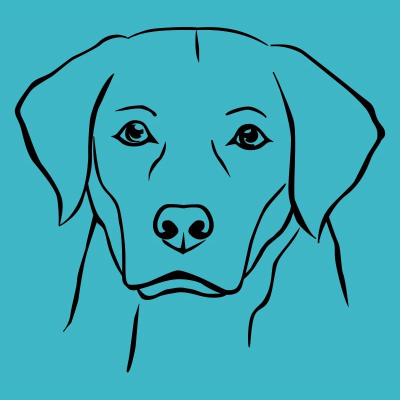 Chien Labrador