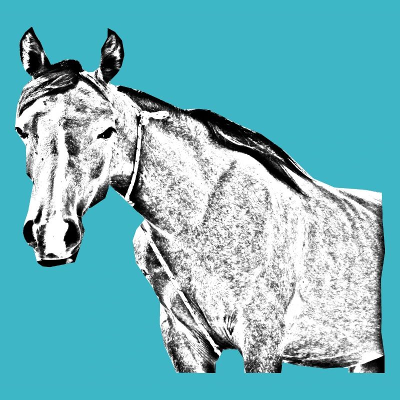 Pferd