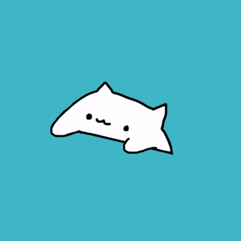 uwu cat