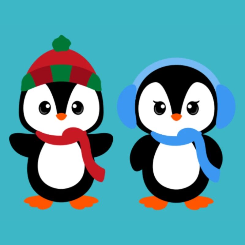 Mr &Mrs Pingu