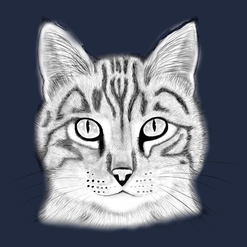 Tête de chat dessinée