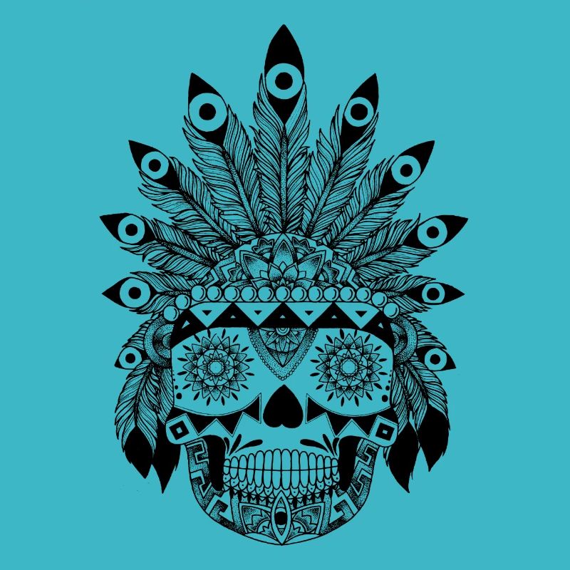 Indian feather head