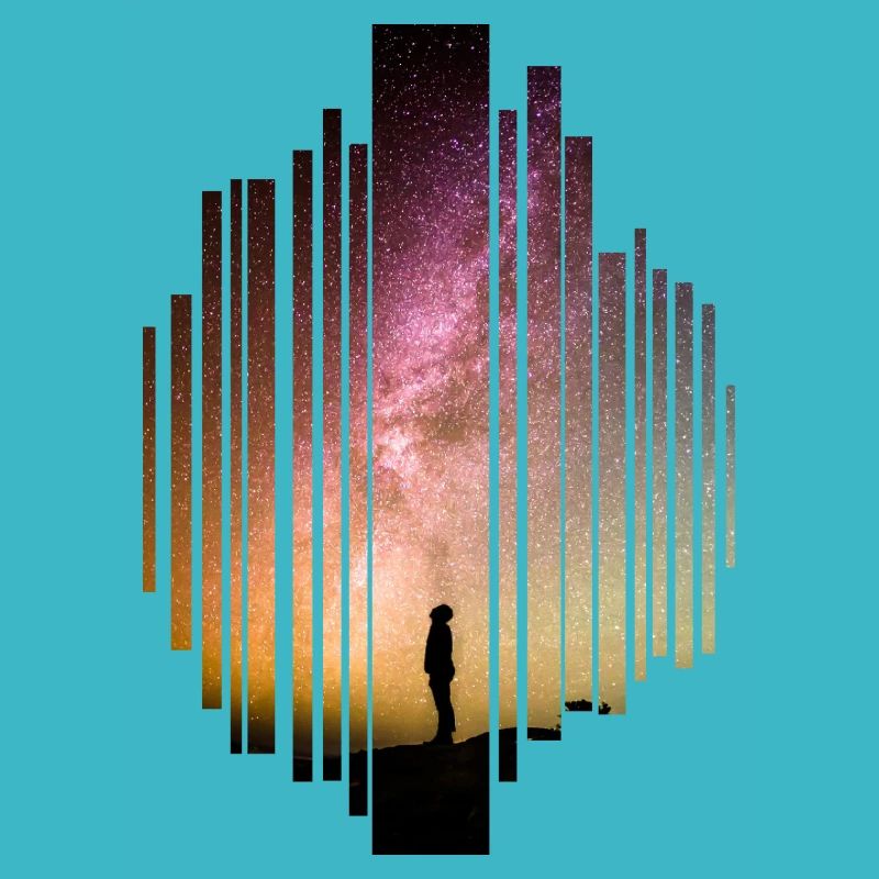The starry sky