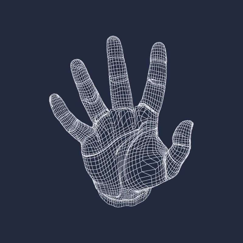 The hand