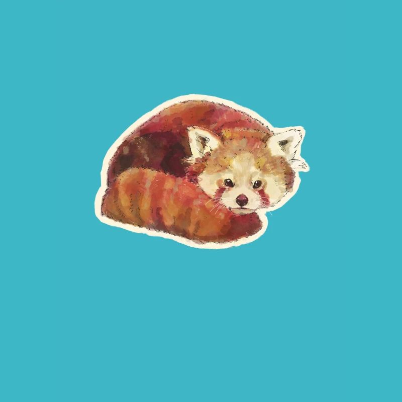 Kleiner roter Panda Katze Bär Red Panda