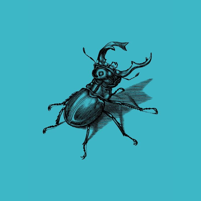 Stag beetle