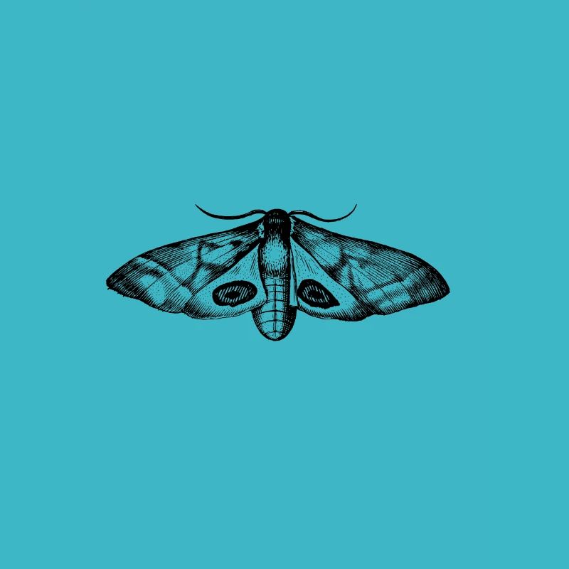 Drawing moth