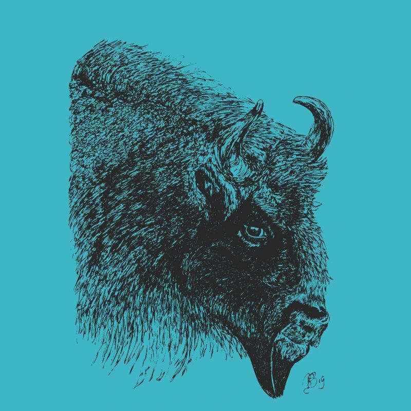 Bison