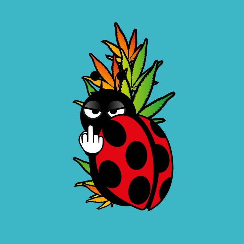 Ladybug