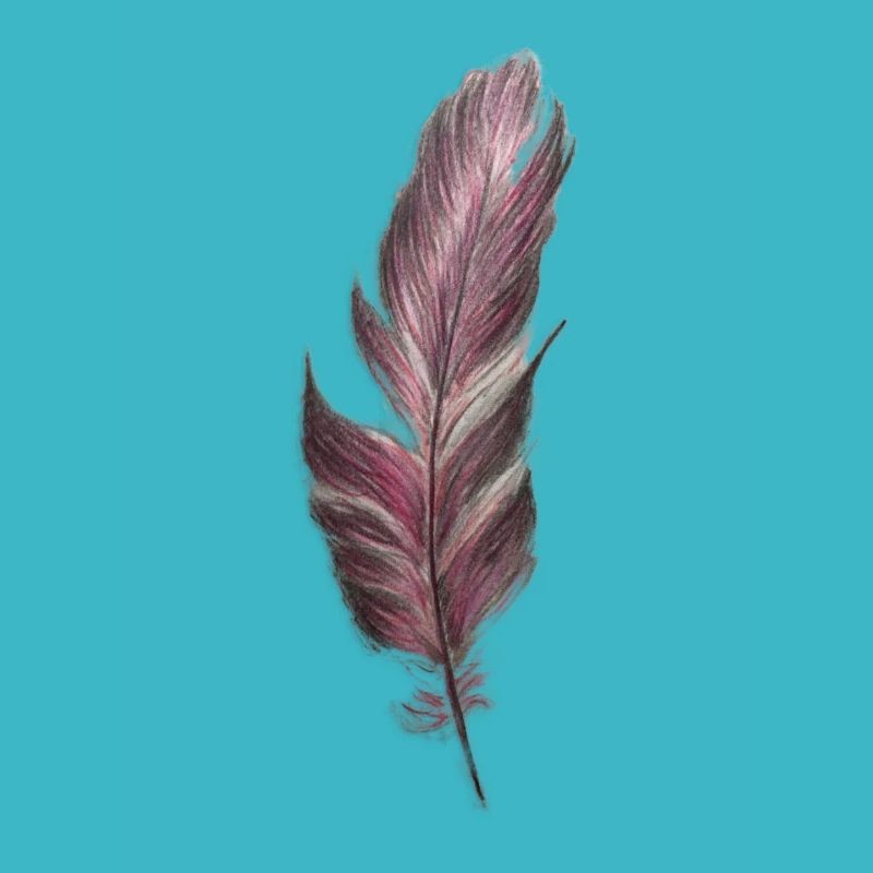 feather