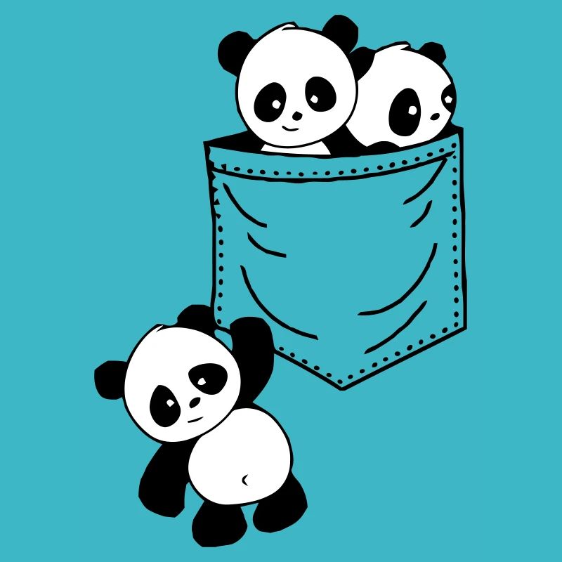 Panda pocket