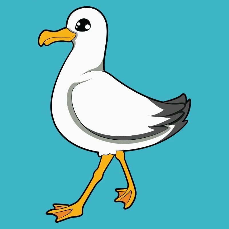 Möwe
