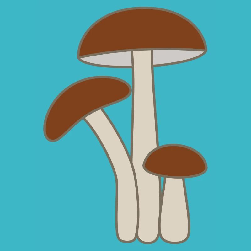 Pilze