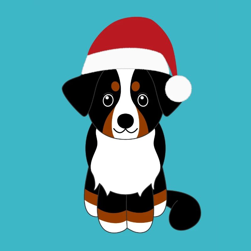 Bouvier bernois Noël