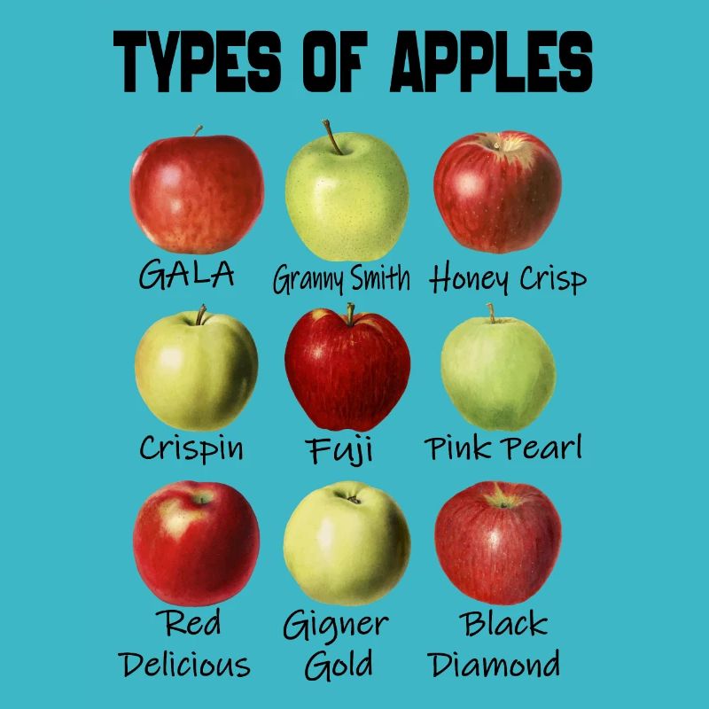 Types of Apples - Apples Breeds List Apples Lover