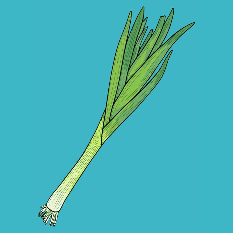 Leek