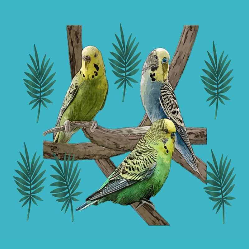 Budgerigar