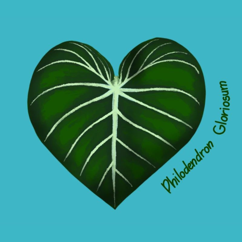 Philodendron Gloriosum