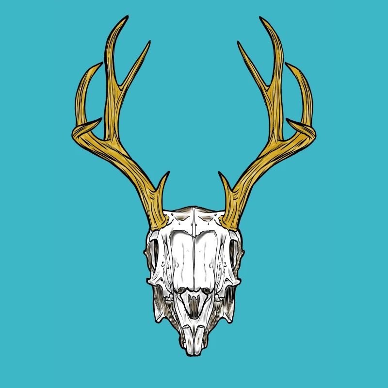 Skull skull animal trophy design art