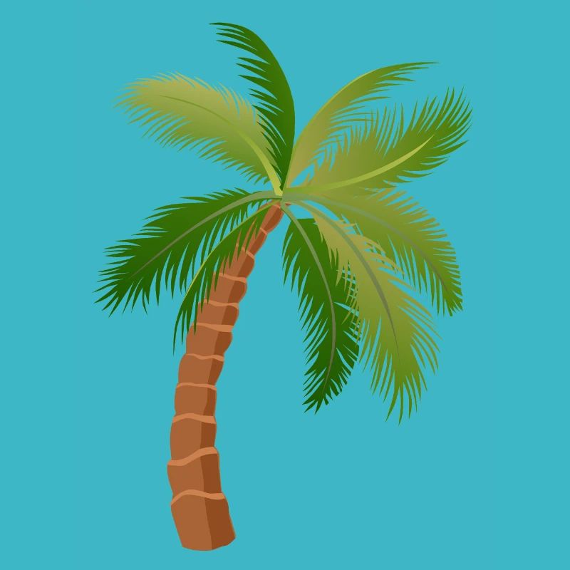palm tree palm palms 1