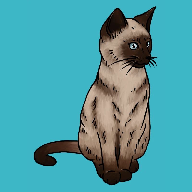 SiamEse Cat Siamese Cat