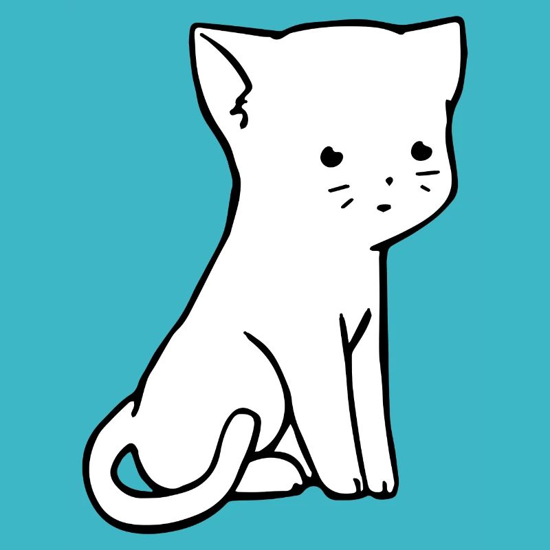 Chat doux Design
