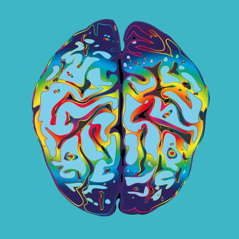 LSD Brain