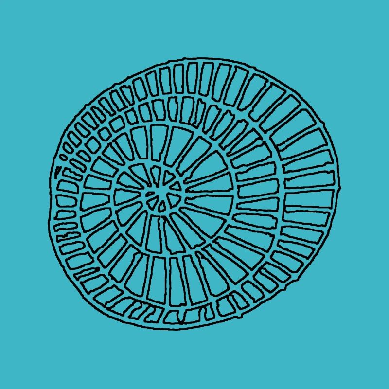 Minimal Schnecke Schwarz