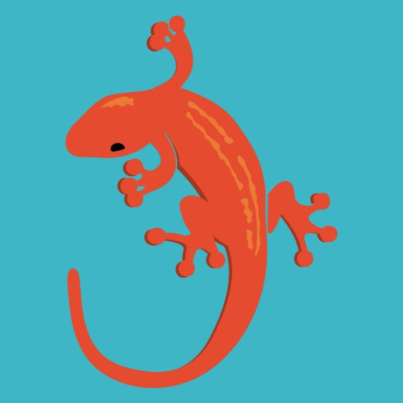 Lizard Salamandra Gift Gift Idea Gecko