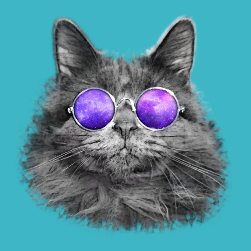 Coole Katze mit Sonnenbrille Cat Lustiges Geschenk