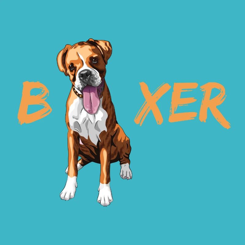 Boxer
