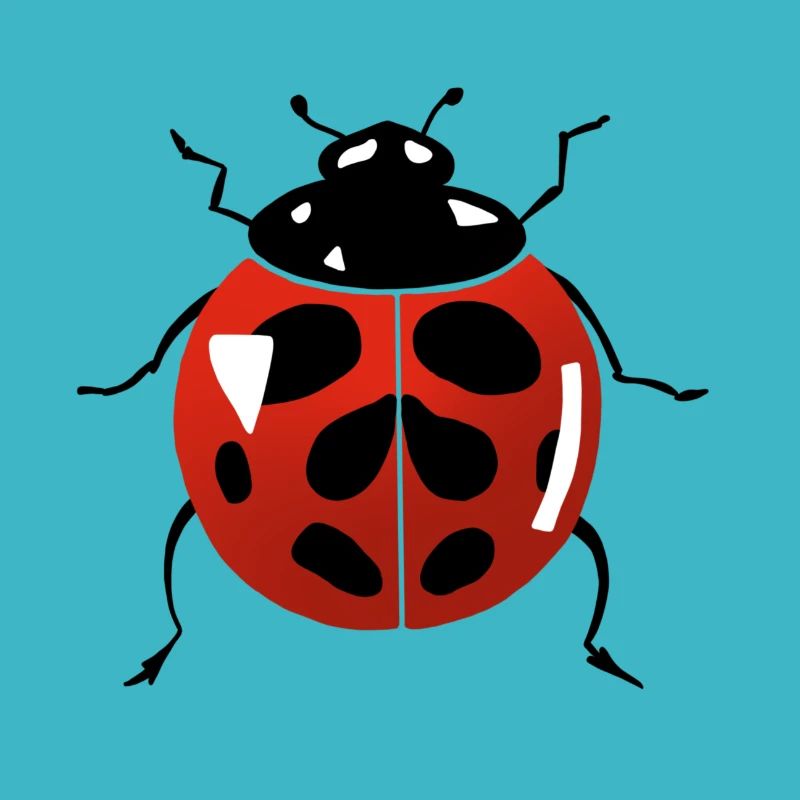 ladybug