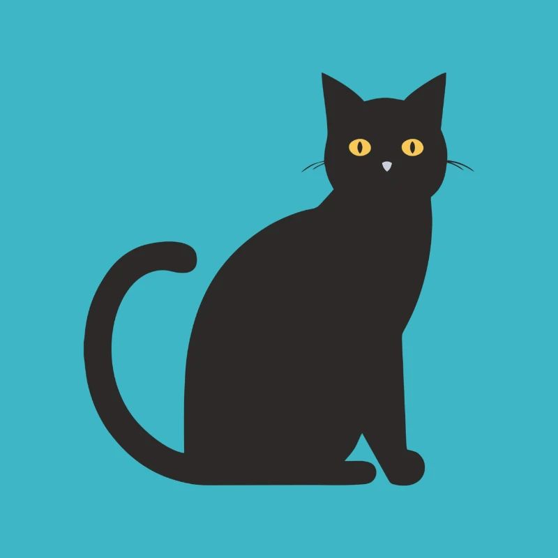 chat noir