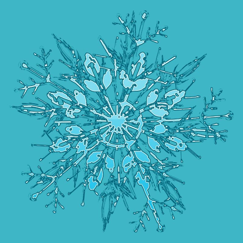Snowflake / flocon de neige