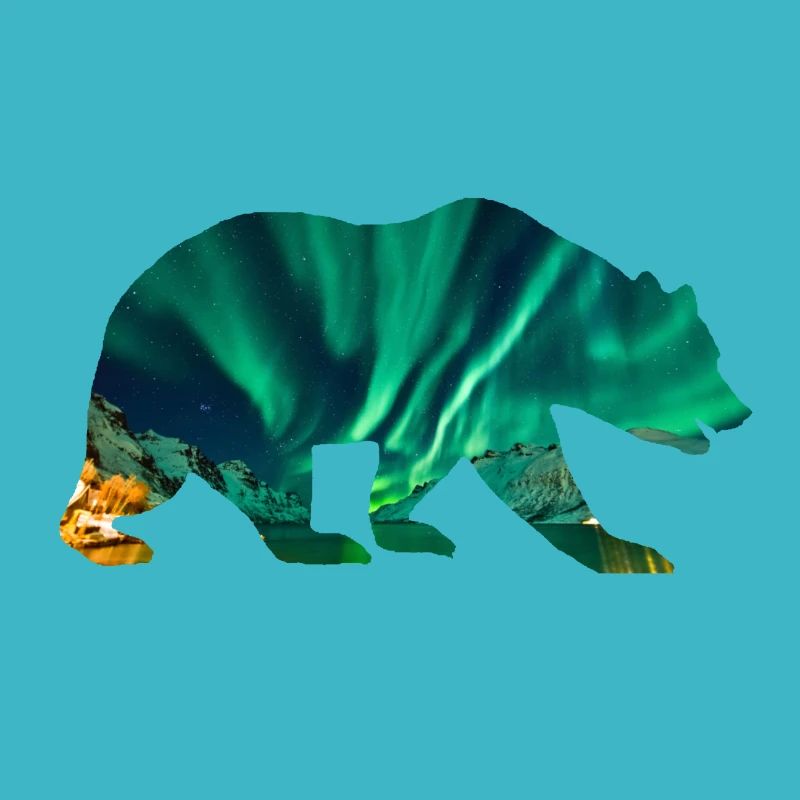 Eisbär Polarlichter