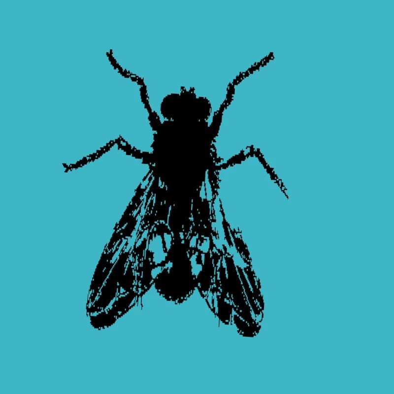 Fliege