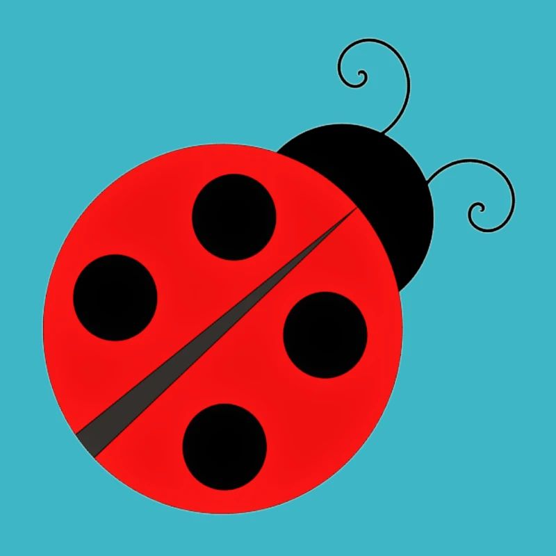 Coccinelle Ladybird Ladybug