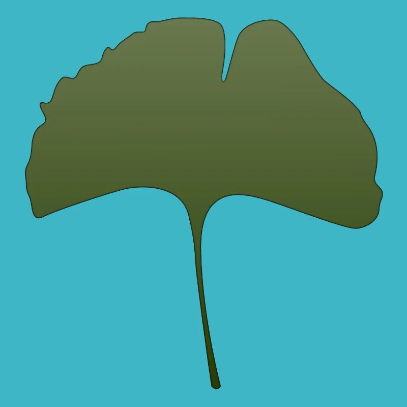 ginkgo