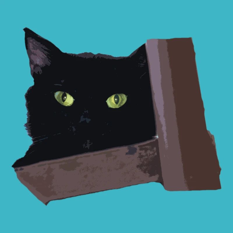 black cat
