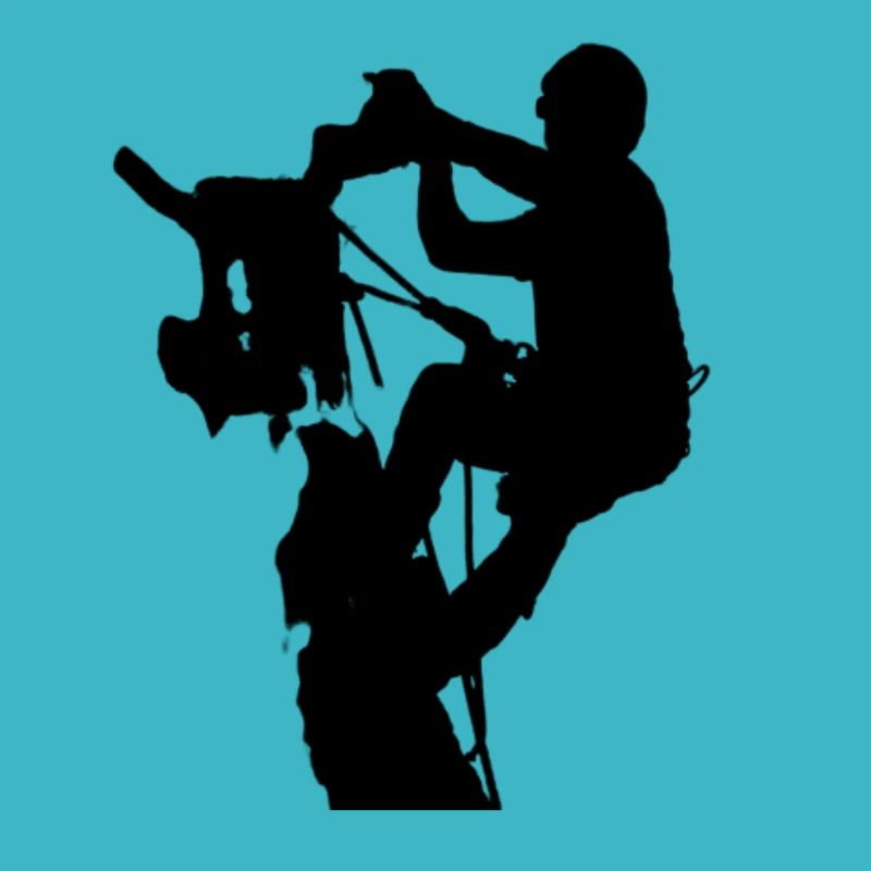 Arborist Baumpfleger