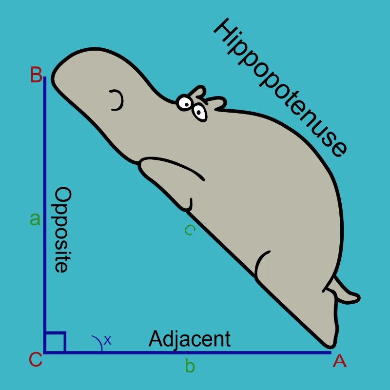 Hypotenuse math humor