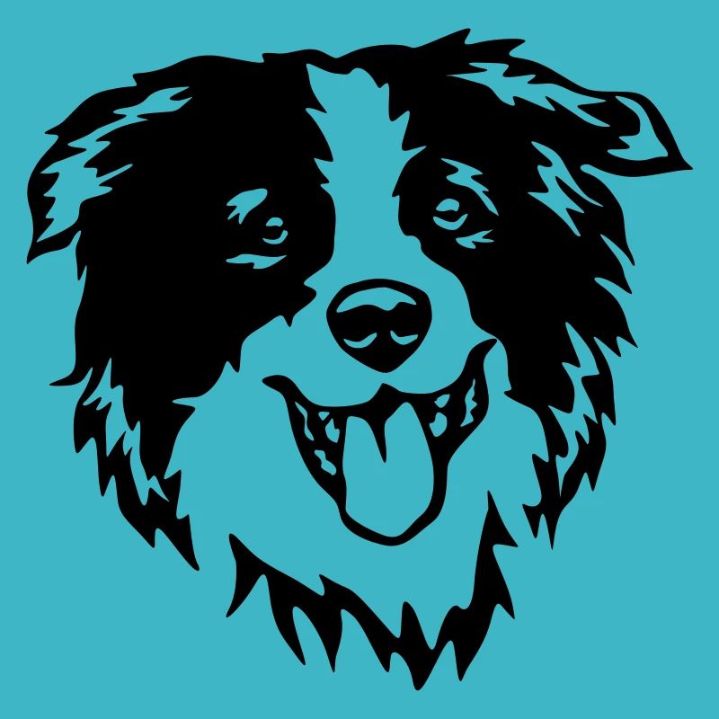 Tête de border collie