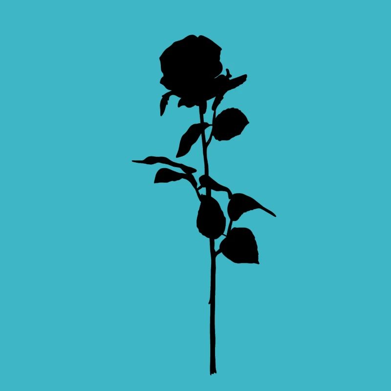 Black rose